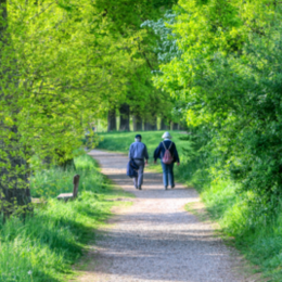 Zwei Personen spazieren über einen Weg im Grünen