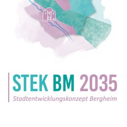 Logo STEK BM 2035