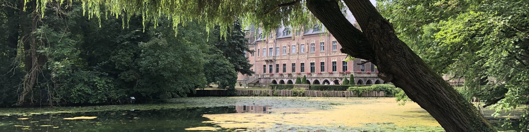 Blick über eine Bank, einen Teich und viel Grün, darunter eine Trauerweide, auf Schloss Paffendorf